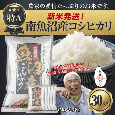 【無地のし】令和7年産 南魚沼産 コシヒカリ 30kg (美味しいお米の炊き方ガイド付)