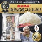 【無地のし】無洗米 令和7年産 南魚沼産 コシヒカリ 30kg (お米の炊き方ガイド付)