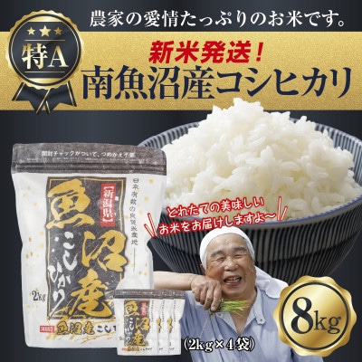 令和7年産 新潟県 南魚沼産 コシヒカリ 8kg (美味しいお米の炊き方ガイド付き)