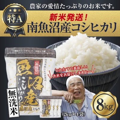 無洗米 令和7年産 南魚沼産 コシヒカリ 8kg (美味しいお米の炊き方ガイド付き)