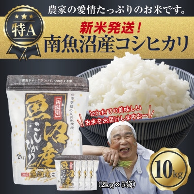 令和7年産 新潟県 南魚沼産 コシヒカリ 10kg (美味しいお米の炊き方ガイド付き)