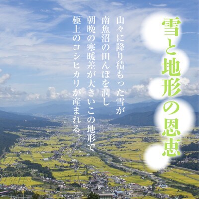 【精米】新潟県 南魚沼産 コシヒカリ 30kg (お米の美味しい炊き方ガイド付き)