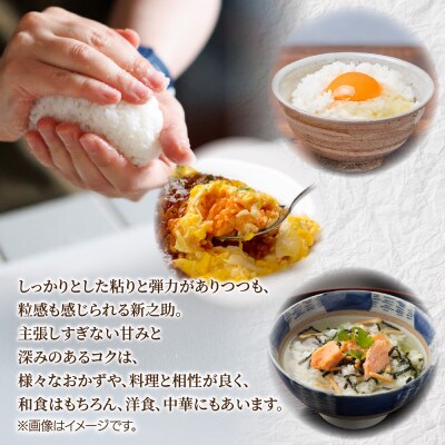 【令和7年産 新米】南魚沼産 新之助2kg 新潟県南魚沼市