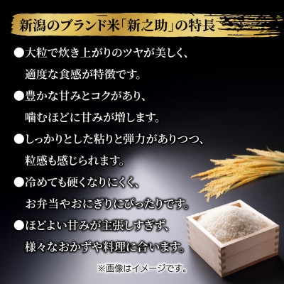 【令和7年産 新米】南魚沼産 新之助2kg 新潟県南魚沼市