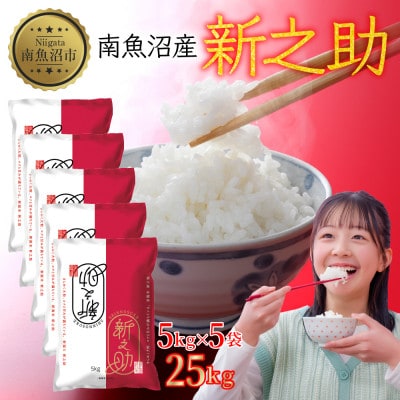 【令和7年産 新米】南魚沼産 新之助 25kg 精米 新潟県 南魚沼市