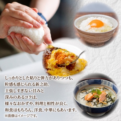 【令和7年産 新米】南魚沼産 新之助 25kg 精米 新潟県 南魚沼市