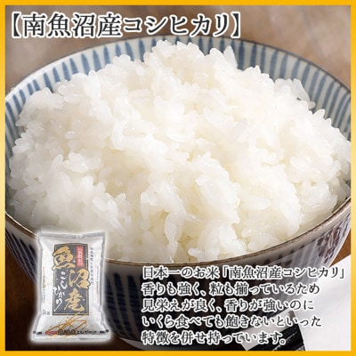 【令和7年産】 南魚沼産 コシヒカリ |塩沢産限定米| 無洗米 5kg (美味しい炊き方ガイド付き)