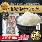 【毎月定期便】無洗米 南魚沼産 コシヒカリ お米 5kg 精米 (美味しい炊き方ガイド付き)全12回