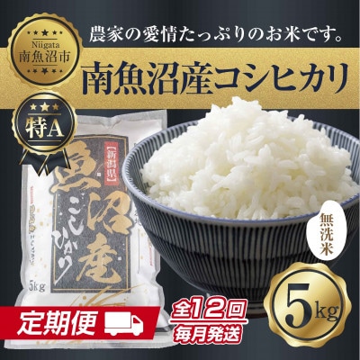 【毎月定期便】無洗米 南魚沼産 コシヒカリ 精米 5kg(美味しい炊き方ガイド付き)全12回