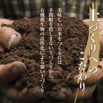 【毎月定期便】南魚沼産 コシヒカリ 精米 5kg(マイスターの美味しい炊き方ガイド付)全2回