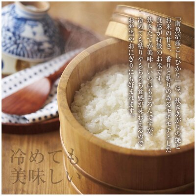 【毎月定期便】南魚沼産 コシヒカリ 精米 5kg(マイスターの美味しい炊き方ガイド付)全2回