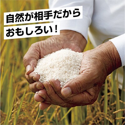 2023年4月発送開始『定期便』南魚沼産コシヒカリ5kg 全2回
