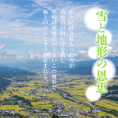 2023年4月発送開始『定期便』南魚沼産コシヒカリ2kg 全12回