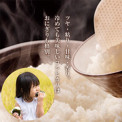 2023年4月発送開始『定期便』南魚沼産コシヒカリ2kg 全12回