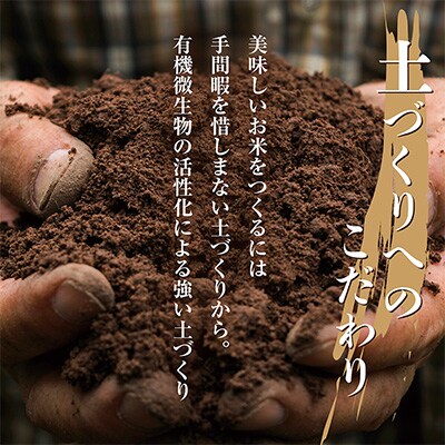 2023年4月発送開始『定期便』南魚沼産コシヒカリ2kg全3回