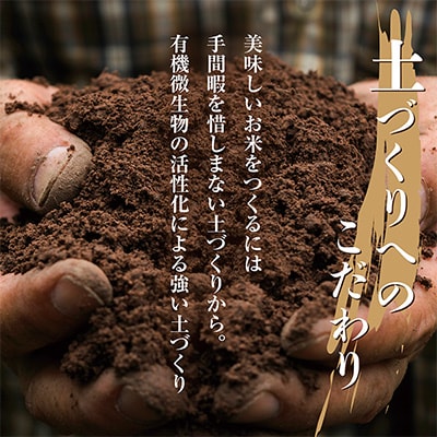 2023年1月発送開始『定期便』 南魚沼産コシヒカリ30kg 全12回