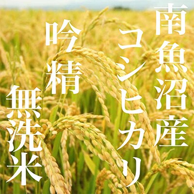 【毎月定期便】【6Kg】無洗米 吟精 南魚沼産コシヒカリ 全6回
