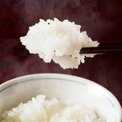 【令和6年産】【厳選】南魚沼産コシヒカリ(玄米5kg)
