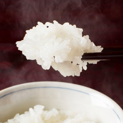 【令和6年産】【厳選】南魚沼産コシヒカリ(精米5kg)