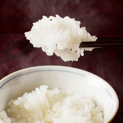 【令和6年産】【厳選】南魚沼産コシヒカリ(精米5kg×2)