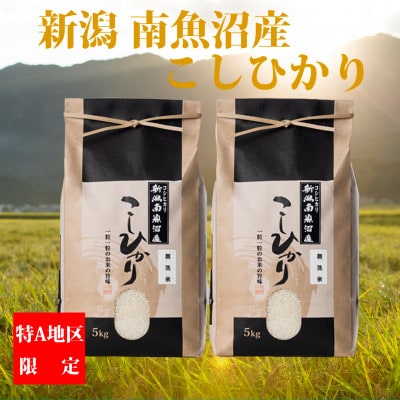 令和4年産】【厳選】南魚沼産コシヒカリ(無洗米5kg×2) | お礼品詳細