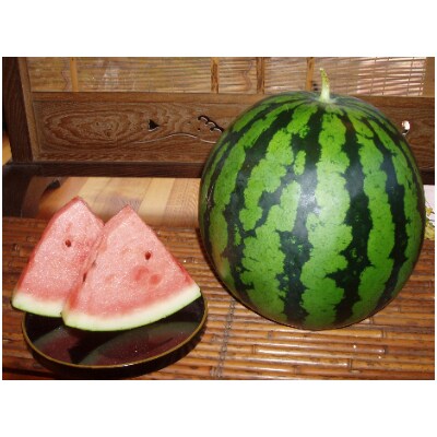 【南魚沼産】八色原すいか大玉2玉