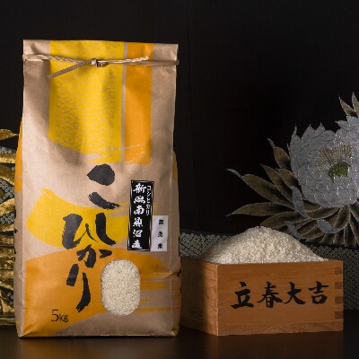 【令和6年産】【厳選】南魚沼産こしひかり(無洗米5kg)×4袋
