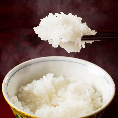 【令和6年産】【厳選】南魚沼産こしひかり(無洗米5kg)×4袋