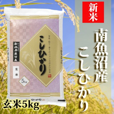 【2024年6月中旬発送】【令和5年産】南魚沼産コシヒカリ「YUKI」(玄米5kg)