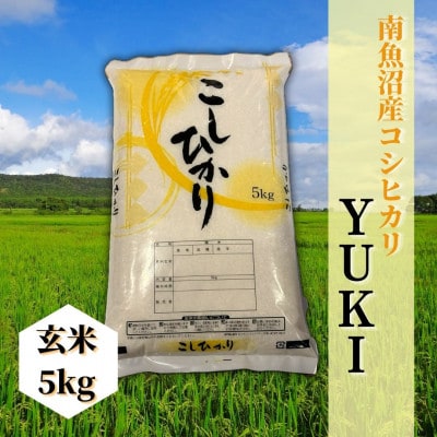 【令和6年産 】南魚沼産コシヒカリ「YUKI」(玄米5kg)