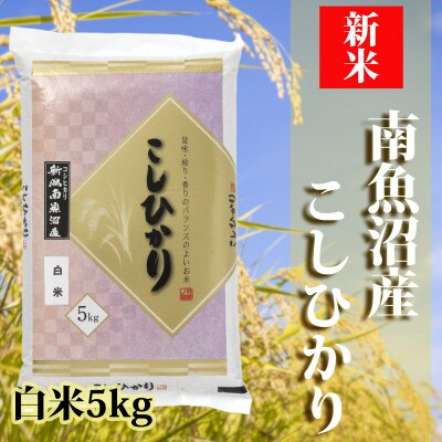 【2024年6月下旬発送】【令和5年産】南魚沼産コシヒカリ「YUKI」(精米5kg)
