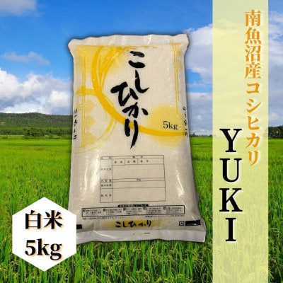 【令和6年産 】南魚沼産コシヒカリ「YUKI」(精米5kg)