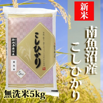 【2024年10月上旬発送】【令和5年産】南魚沼産コシヒカリ「YUKI」(無洗米5kg)