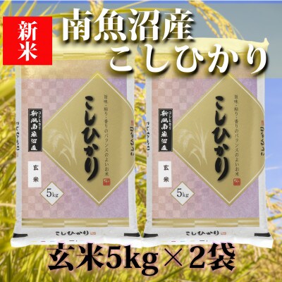 【2024年9月下旬発送】【令和5年産】南魚沼産コシヒカリ「YUKI」(玄米5kg×2袋)