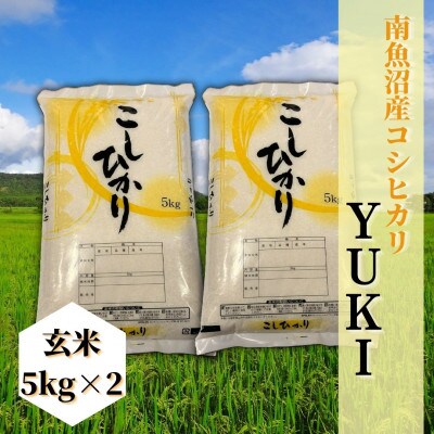 【令和6年産 】南魚沼産コシヒカリ「YUKI」(玄米5kg×2袋)