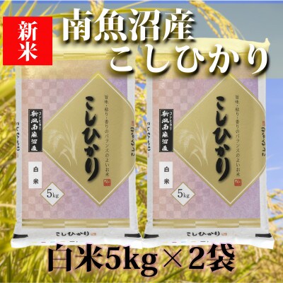 【2024年2月上旬発送】【令和5年産】南魚沼産コシヒカリ「YUKI」(精米5kg×2袋)
