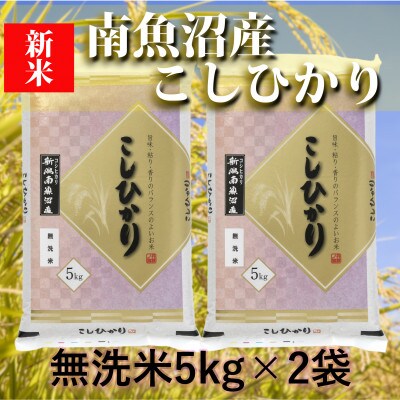 【2024年6月下旬発送】【令和5年産】南魚沼産コシヒカリ「YUKI」(無洗米5kg×2袋)