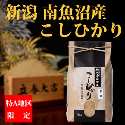 【毎月定期便】【厳選】南魚沼産コシヒカリ(玄米5kg)全6回