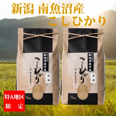 【毎月定期便】【厳選】南魚沼産コシヒカリ(玄米5kg×2)全12回