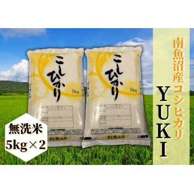 【毎月定期便】南魚沼産コシヒカリ「YUKI」(無洗米5kg×2袋)全3回