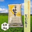 【毎月定期便】南魚沼産コシヒカリ「YUKI」(玄米5kg)全12回