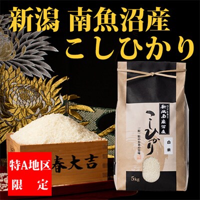 2023年6月発送開始『定期便』【厳選】南魚沼産コシヒカリ(精米5kg)全12回