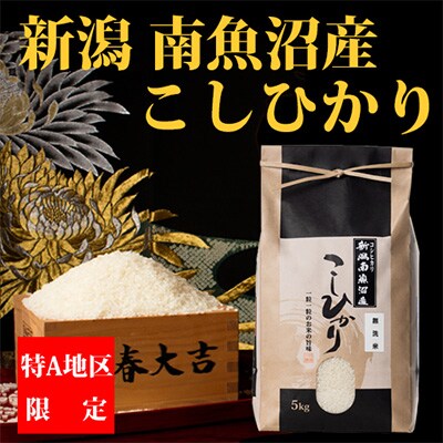 2023年6月発送開始『定期便』【厳選】南魚沼産コシヒカリ(無洗米5kg)全9回