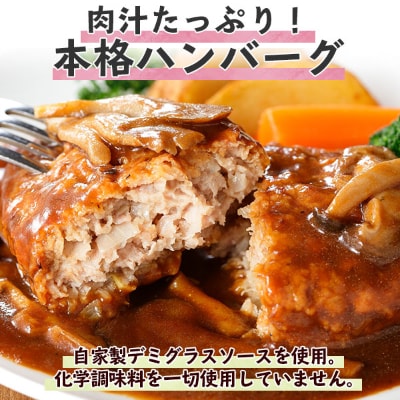こだわり手作り自家製煮込みハンバーグ 170g×2個 &ひじき豆腐ハンバーグ160g×2個