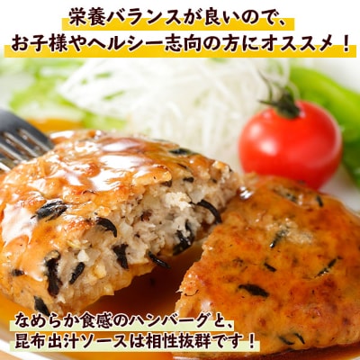 こだわり手作り自家製煮込みハンバーグ 170g×2個 &ひじき豆腐ハンバーグ160g×2個