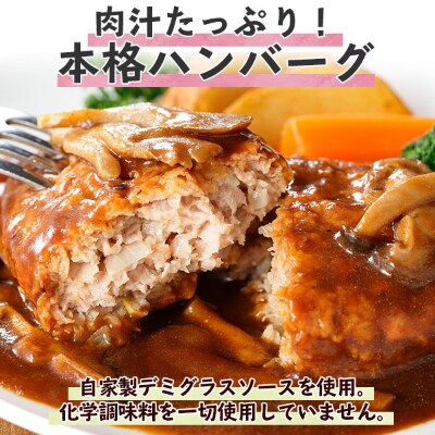 【無地熨斗】こだわり手作り自家製煮込みハンバーグ170g×6個&ひじき豆腐ハンバーグ160g×6個