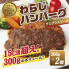わらじハンバーグ 300g×2個 デミグラスソース 新潟県 南魚沼市