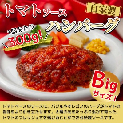 わらじハンバーグ300g×6個 トマトソース 新潟県 南魚沼市