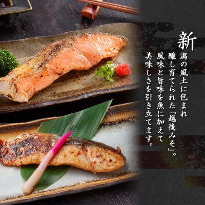【無地熨斗】 越後みそ漬け 2種食べ比べ サーモン さわら 各3切れ 新潟県 南魚沼市