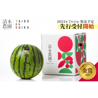 2024年7月中旬発送　野菜ソムリエサミット金賞「清水農園の特別栽培大玉スイカ」　